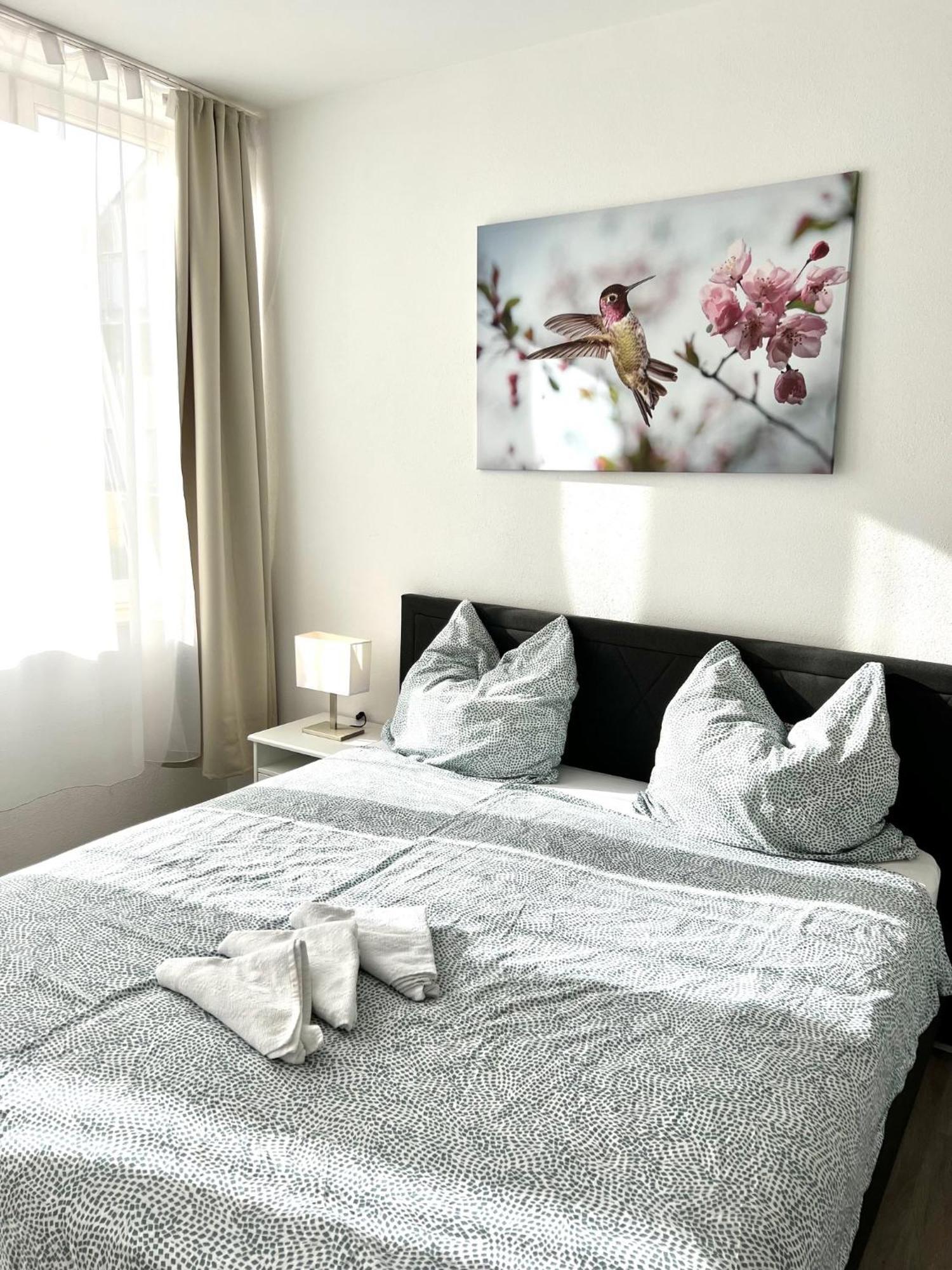 City Appartement Kueche,Bad, Parken Im Zentrum Von Ravensburg Zewnętrze zdjęcie